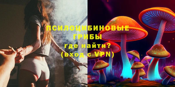 круглые Лагань