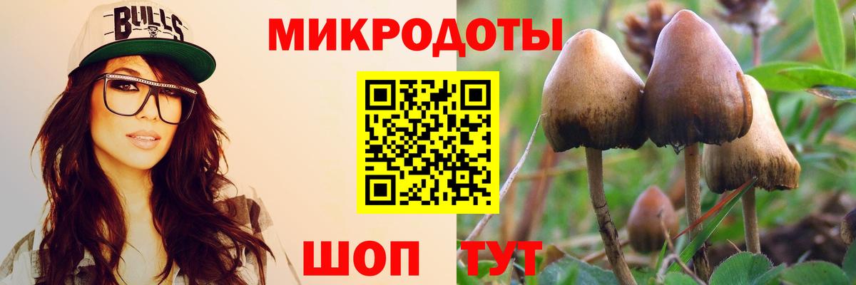 Галлюциногенные грибы GOLDEN TEACHER  Галлюциногенные грибы GOLDEN TEACHER  Кушва  хочу   Вход с VPN 